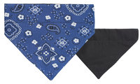 Royal Paisley - Medium