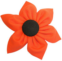 Pumpkin ∙ X-Small
