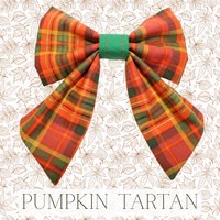 Pumpkin Tartan ∙ X-Small