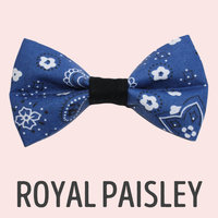 Royal Paisley ∙ X-Small
