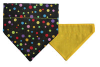 Rainbow Dots - X-Small