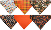 Fall/Spooky Season ∙ Reversible Bandana