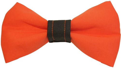 Pumpkin ∙ X-Small