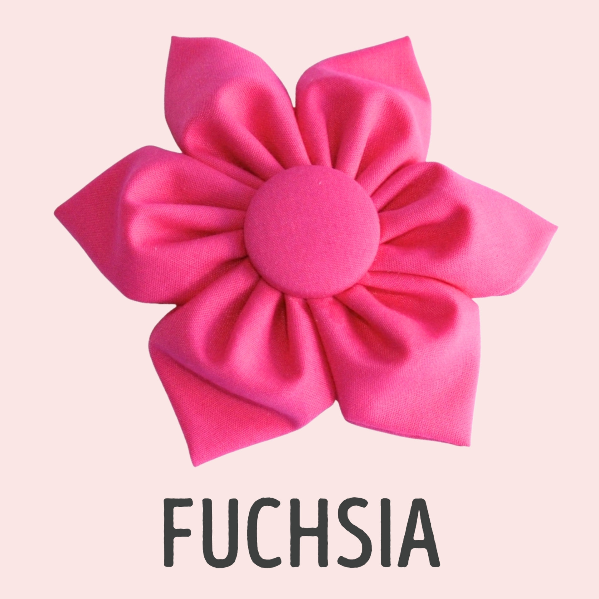 Fuchsia  ∙  X-Small