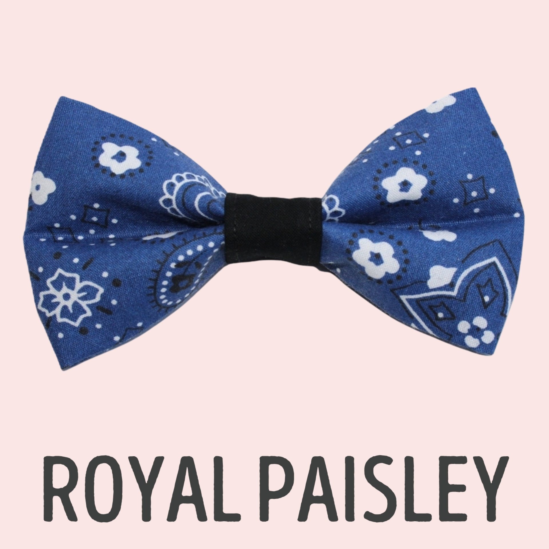 Royal Paisley ∙ X-Small