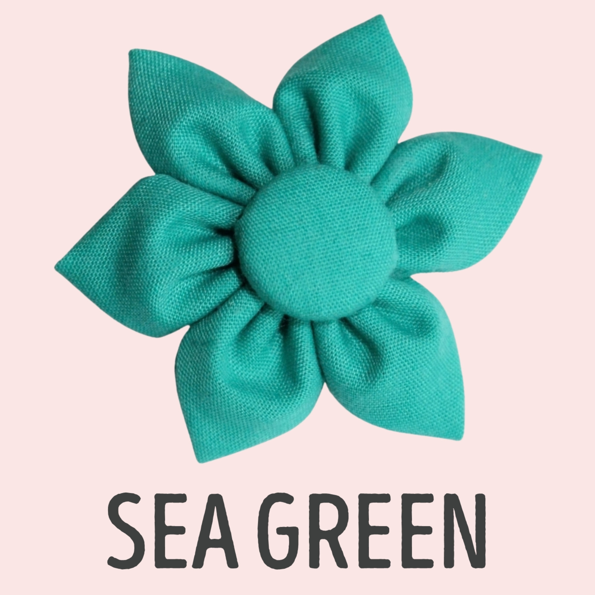Sea Green ∙ X-Small