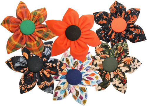 Fall/Spooky Season ∙ Flowers